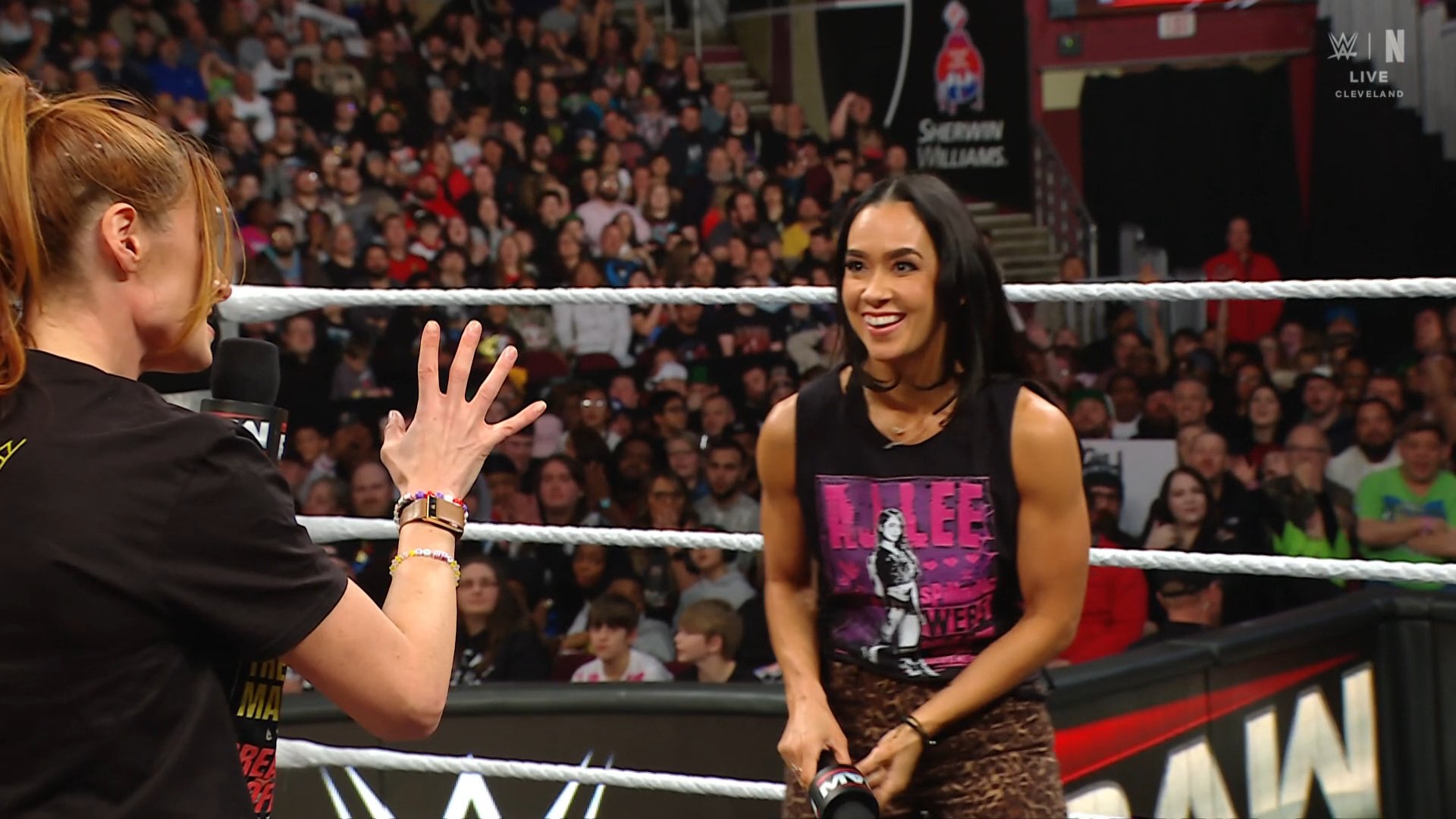 AJ Lee Returns