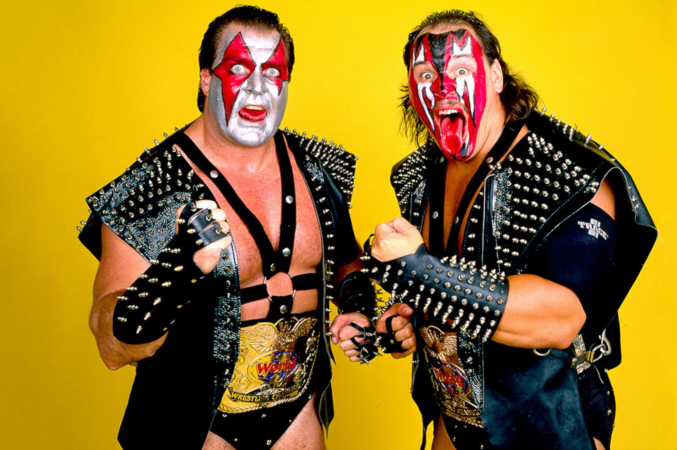 Demolition to the WWE HOF
